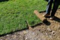 Lawn Turfing