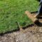 Lawn Turfing